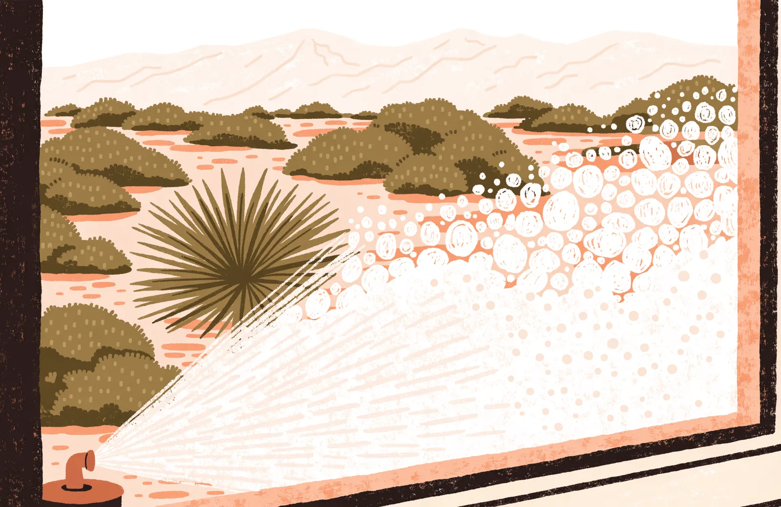 Illustration of a window with chalky hard water rings in one corner where a lawn sprinkler sprays it, desert yard behind